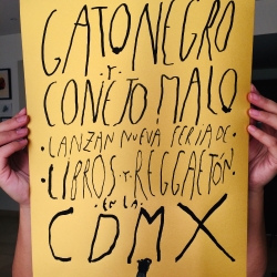 https://nunezdelarco.com/files/gimgs/th-28_gato negro y conejo malo.jpg